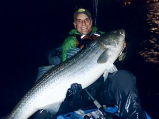 Eric Harrison with a large striper caught in a pedal kayak.