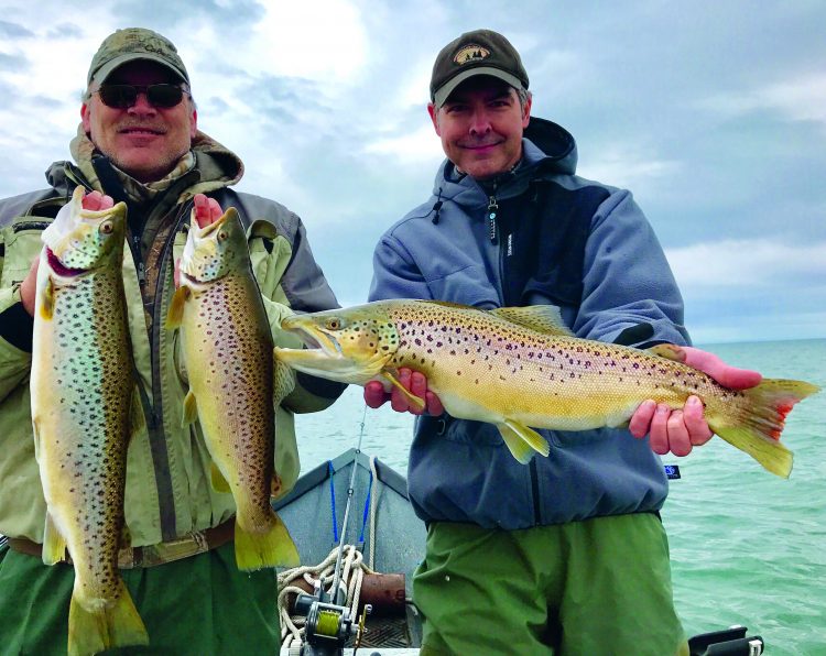 The "average" Lake Ontario brown trout weighs 4-to-6 pounds, and fish are large as 20-pounds are a possibility.