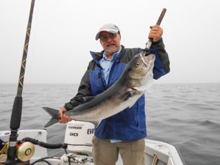 Jeff Branco was fishing with the author last season when he hooked this alligator on light tackle. Jeff caught and released two stripers in the 20-pound class on the same tackle that morning, but said that the bluefish fought harder.