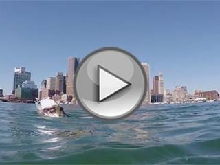 On The Water's Adventures Boston Harbor Blitz