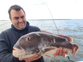 Captain Brian Coombs tautog