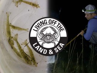 Cape Cod Shrimping