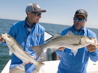 Chatham Rips Stripers