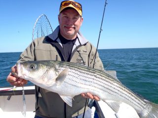 diamond jig striped bass