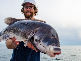 Newport Sport Fishing Charters Tautog