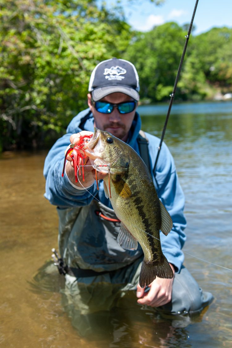A largemouth caught on a red spinnerbait.