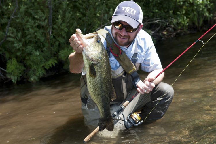 Fishing crankbaits along weed edges is a proven summertime tactic for big largemouths.