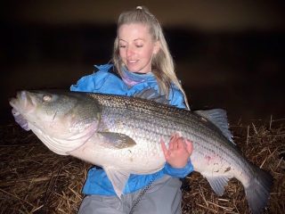 Erica O'Donnell 52 Inch Striped Bass