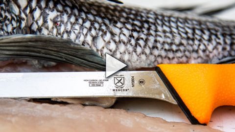 Three Ways to Fillet and Prepare Black Sea Bass