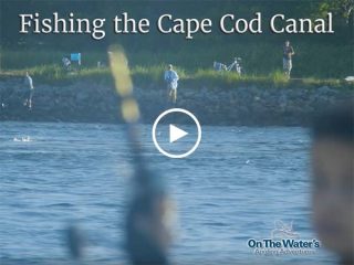 Fishing The Cape Cod Canal