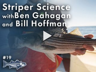Podcast #19 - Striper Science with Ben Gahagan and Bill Hoffman
