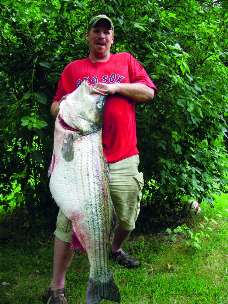 Striped bass world record