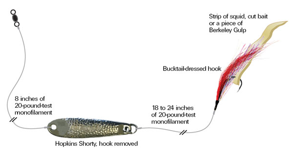 HOPKINS SURF RIG