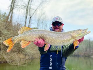 Northern pike adapt to seasonal freshwater temperature patterns. Learn the gear, techniques, retrieves, and flies to catch these predatory fish.