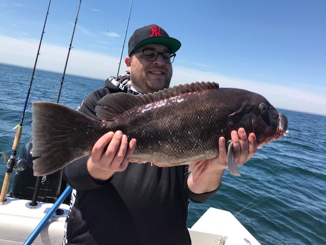 NJ blackfish manasquan