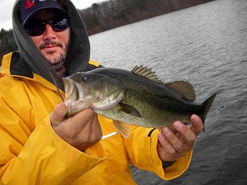 Largemouth will seek stable conditions in the winter