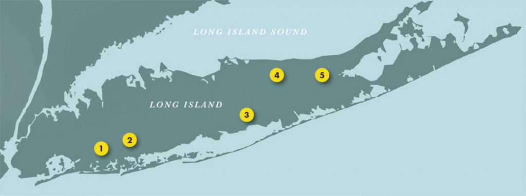 Long Island pickerel map