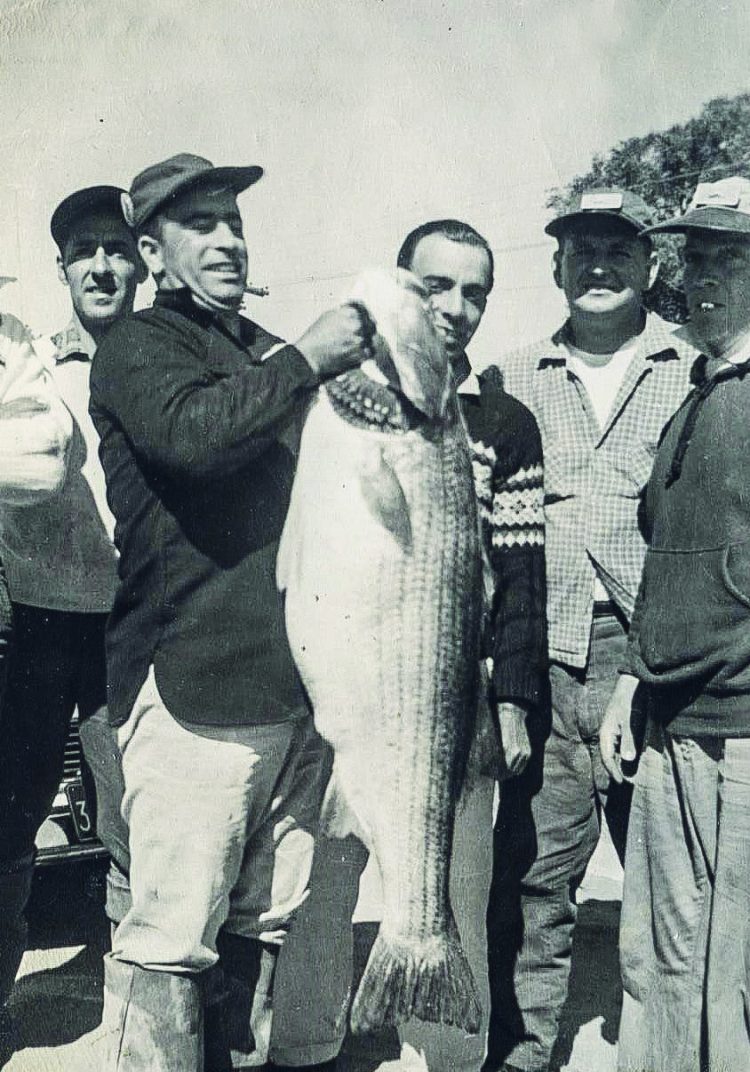 Linesiders Bass Club member Teddy Lima with his mid-50-pound striper caught from the surf in May of 1960.