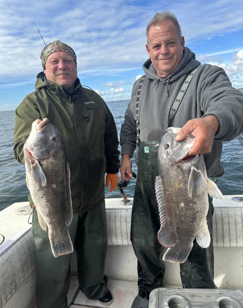 Little Sister tautog