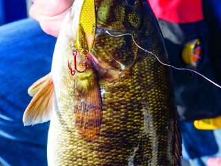 Learn how to vertically jig for smallmouth bass on freshwater humps and ridges during the cooler months of the year with blade bait lures.