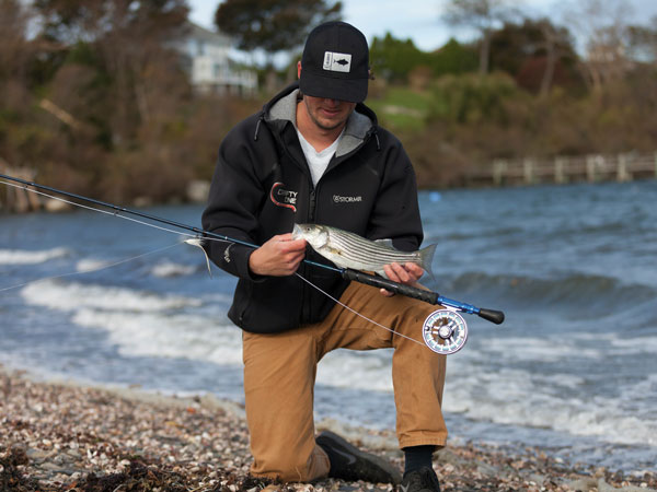 small schoolie striper