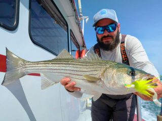 striper pulled from The Race