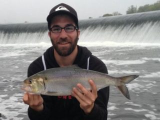 Fish within the city limits of Philadelphia to catch spring stripers and shad at the Delaware and Schuylkill rivers.