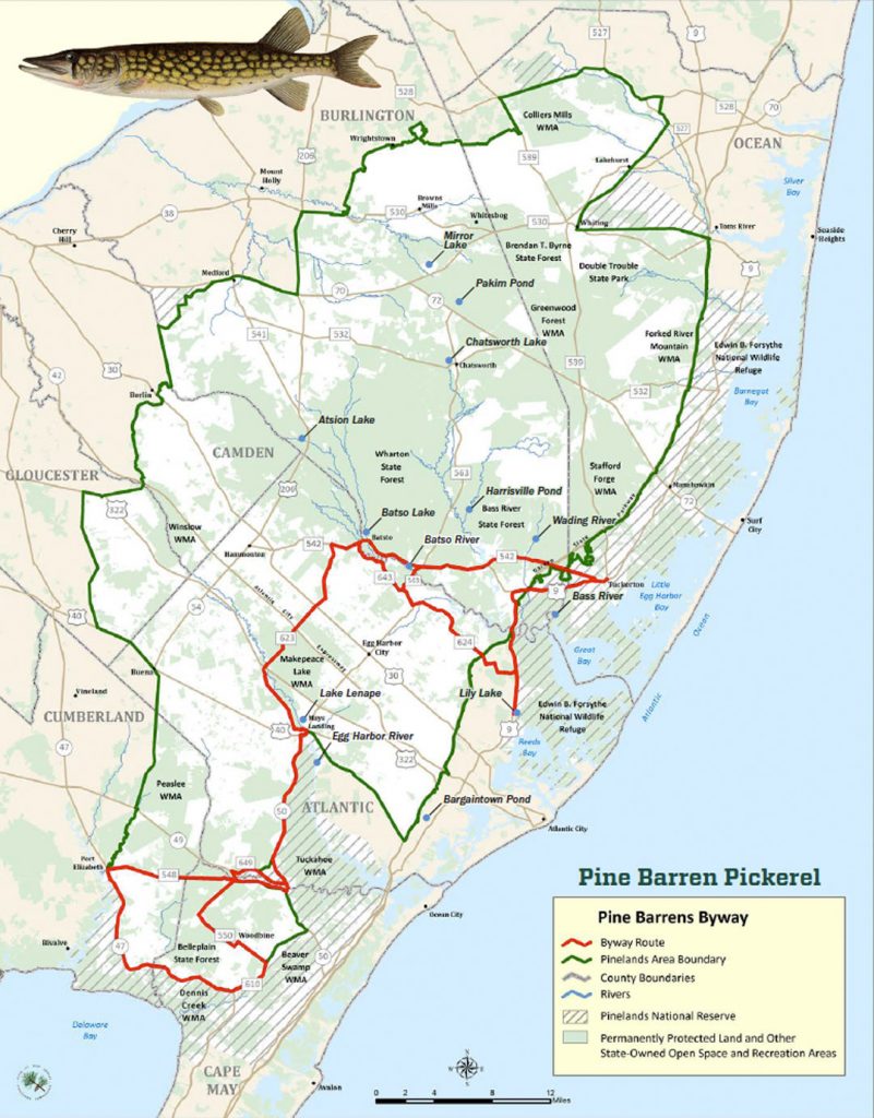 Pine Barrens map