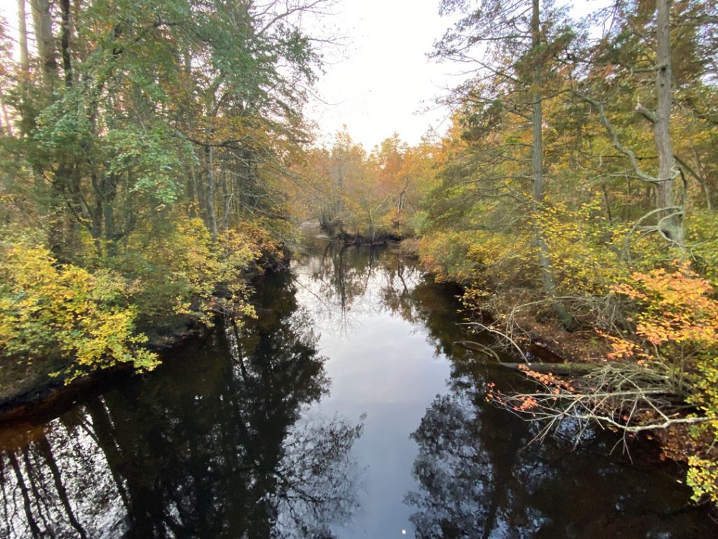 Pine Barrens creek