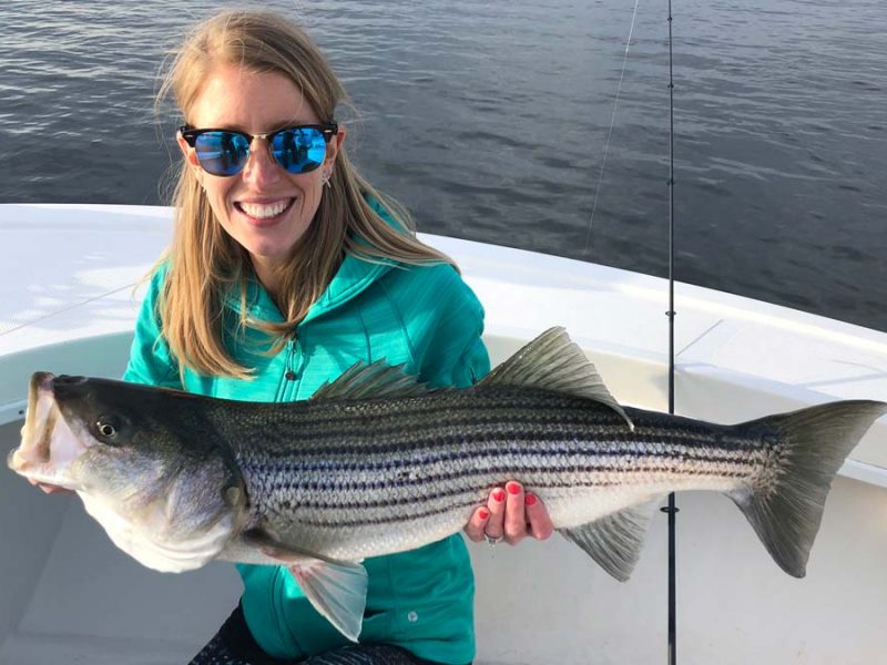 striped bass fishing charter