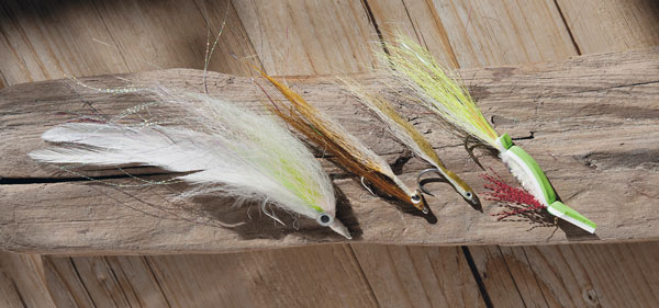 schoolie flies