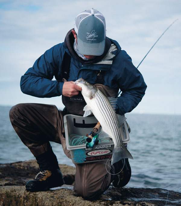 Short cast schoolie