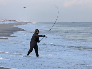 Surfcasting can be done year 'round in New Jersey
