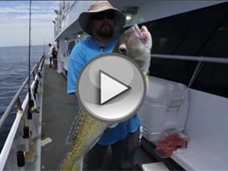On The Water Adventure's Presents Offshore Tilefish